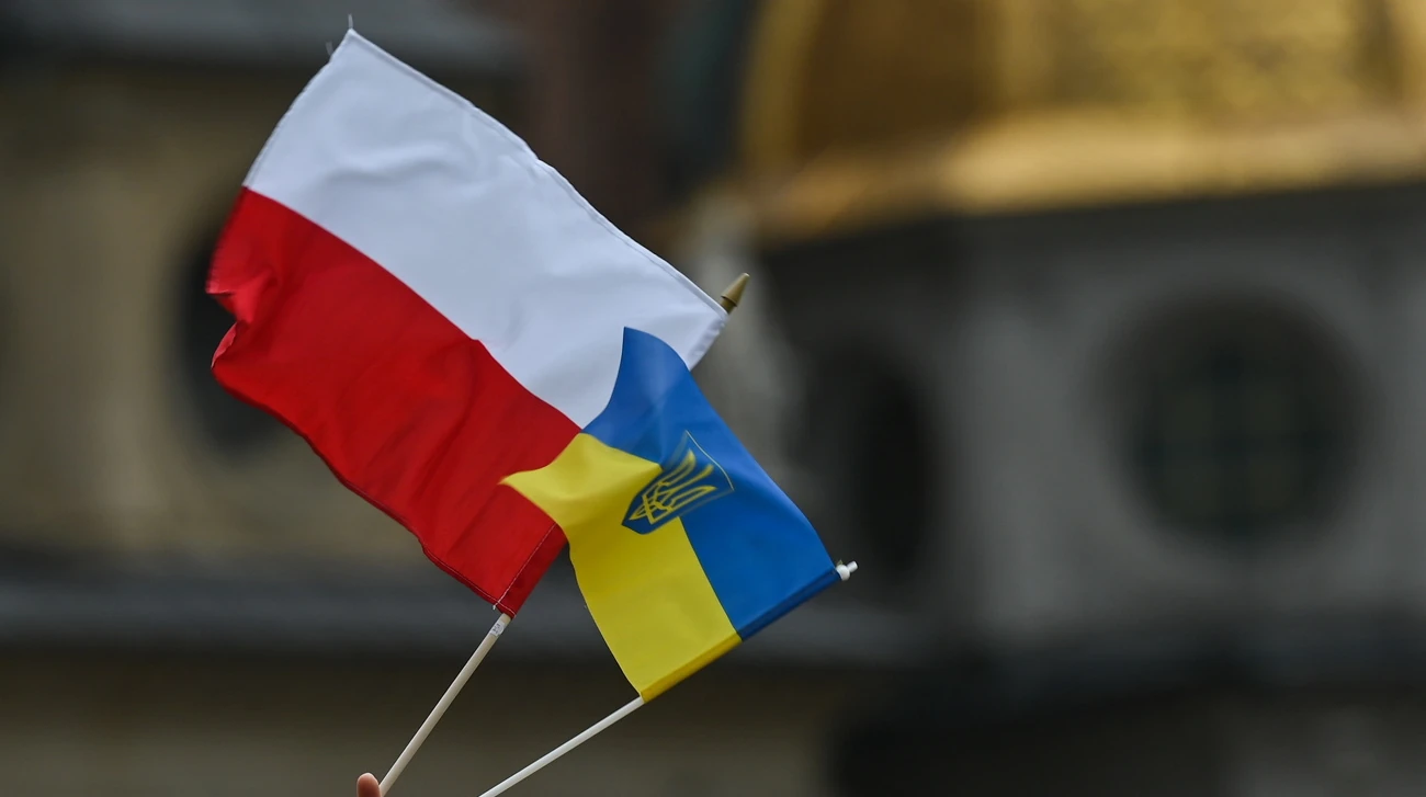 Партія «Право і справедливість» та опитування IBRiS: хто стоїть за ідеєю депортації